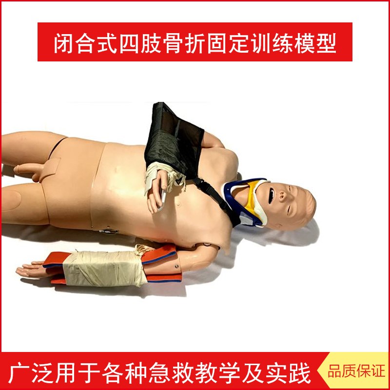 闭合式四肢骨f折固定训练模型 急救外伤固定训练模拟人仿真化伤员