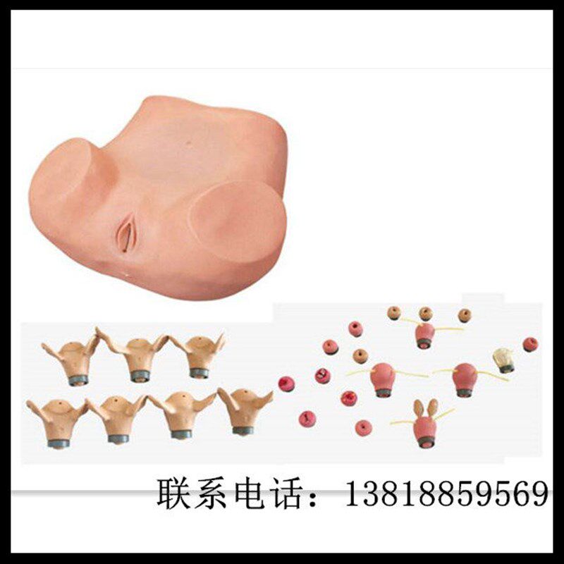 高级妇科综合检查训练模型 宫E腔结构 镜检查 宫颈特价