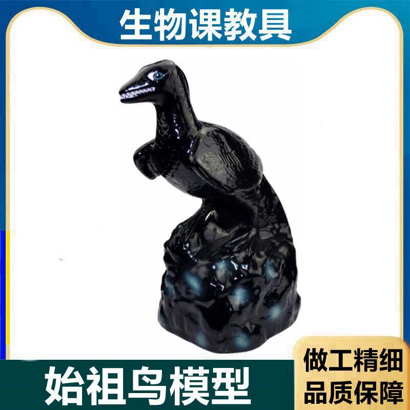 始祖鸟化石复原模型 生物实验器材 F教学仪器 鸟的起源进化论中学