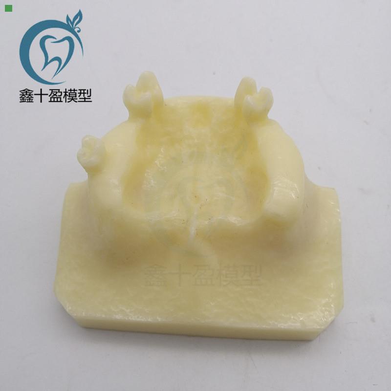 牙科口腔教学模型 上颌窦提升术练习模型 种植练习实训操作 实操