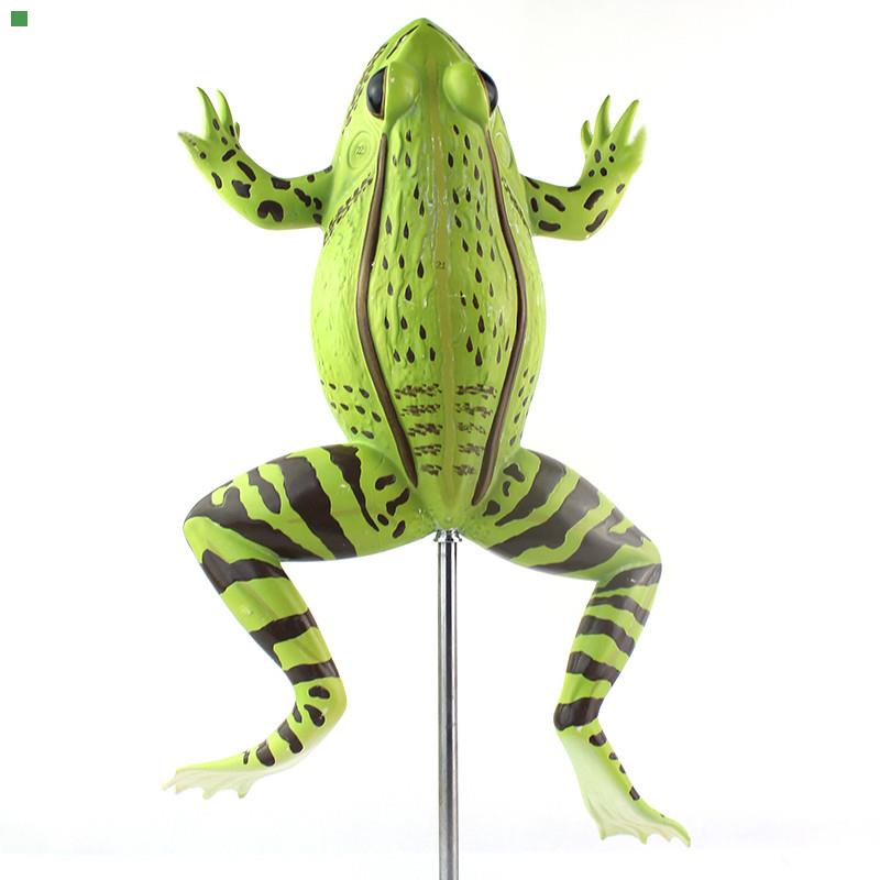 ENOVO颐诺青蛙解剖模型