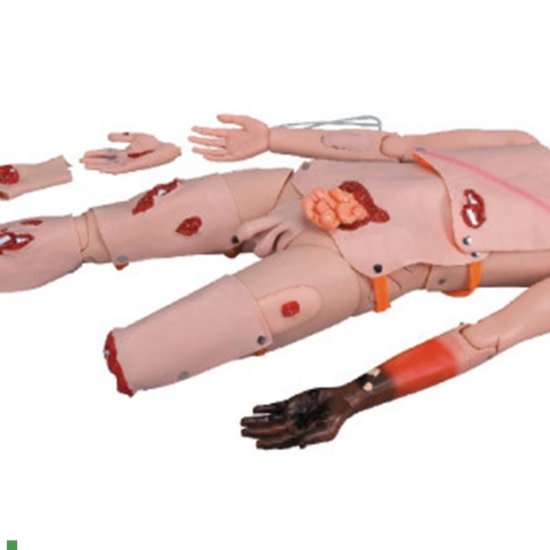 医院护理教f学培训高级创伤评估模块护理人训练高级创伤模型