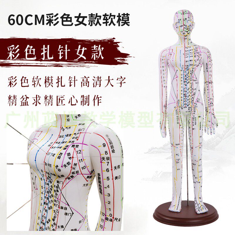 中医人体针灸穴位模型经络铜人w小人按摩教学教具男模60cm大号家