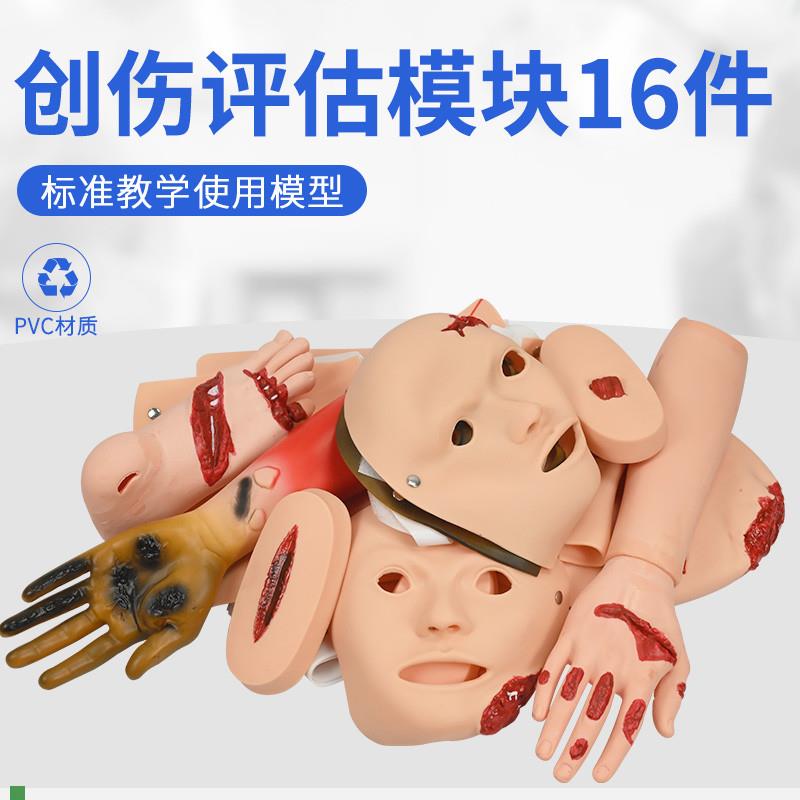 高级创伤评f估模块创伤护理教学模块医学教学模型护理教学模型