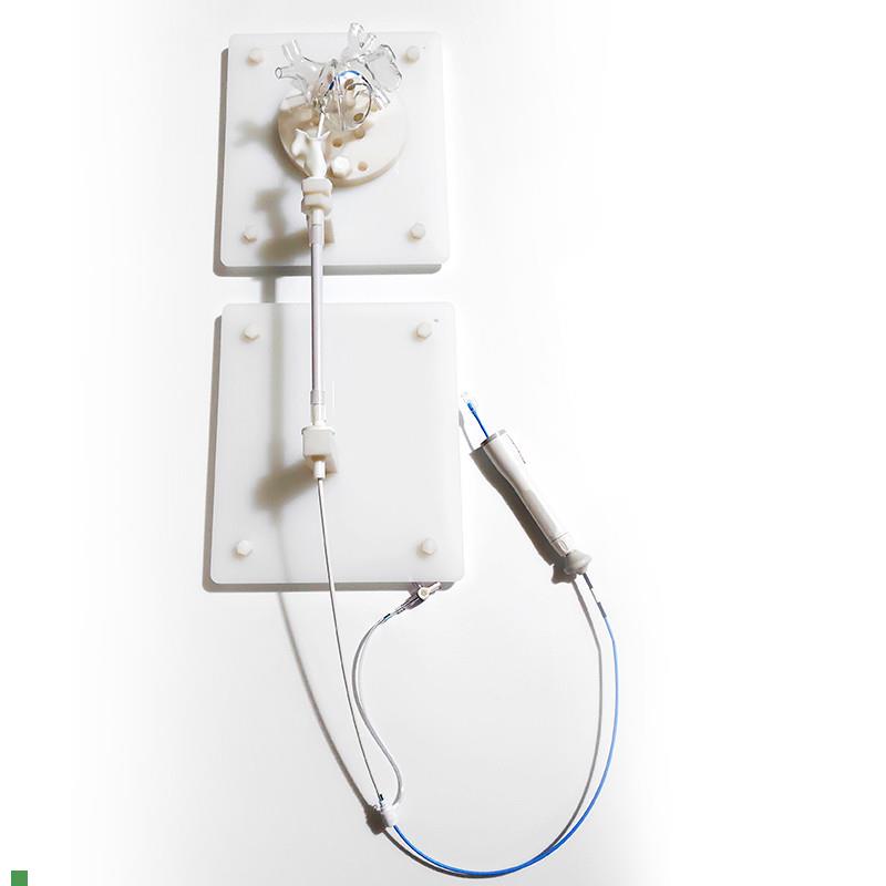 ENOVO颐诺心脏介p入练习模型左心房介入训练台心血管微创介入训