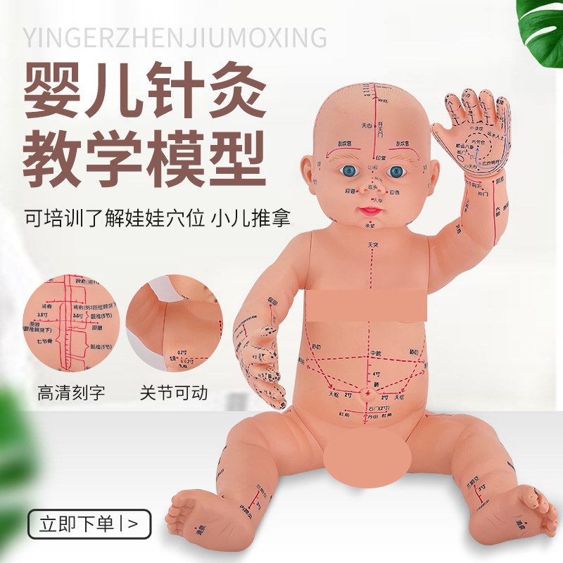 婴儿人体b模型儿童娃娃人体模型针灸中医通用穴位小儿推拿仿真模