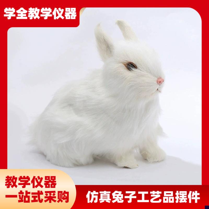 厂家直供不掉毛毛绒玩具真兔子啄木年造型X工艺品摆件