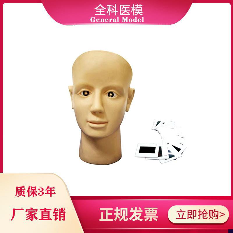 眼视网膜病d变训练模型眼球检查练习养老护理高血压糖尿病人眼睛