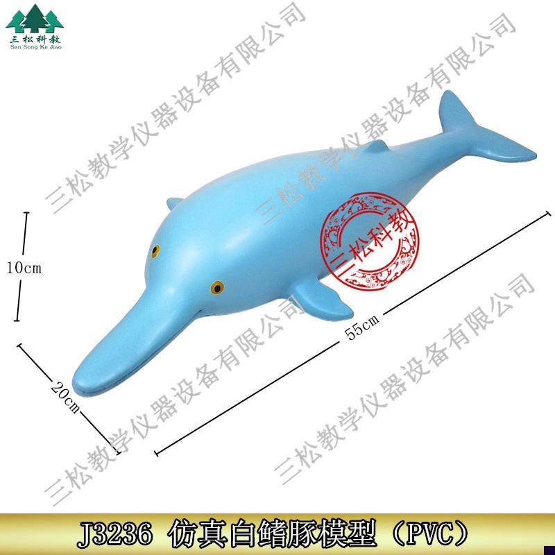 J323c6高仿真白鳍豚海豚模型幼儿儿童小学科学教学标本仪器