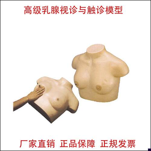 高级乳腺视诊与触诊模型 妇科模型C 乳腺检查催乳训练乳房检查教