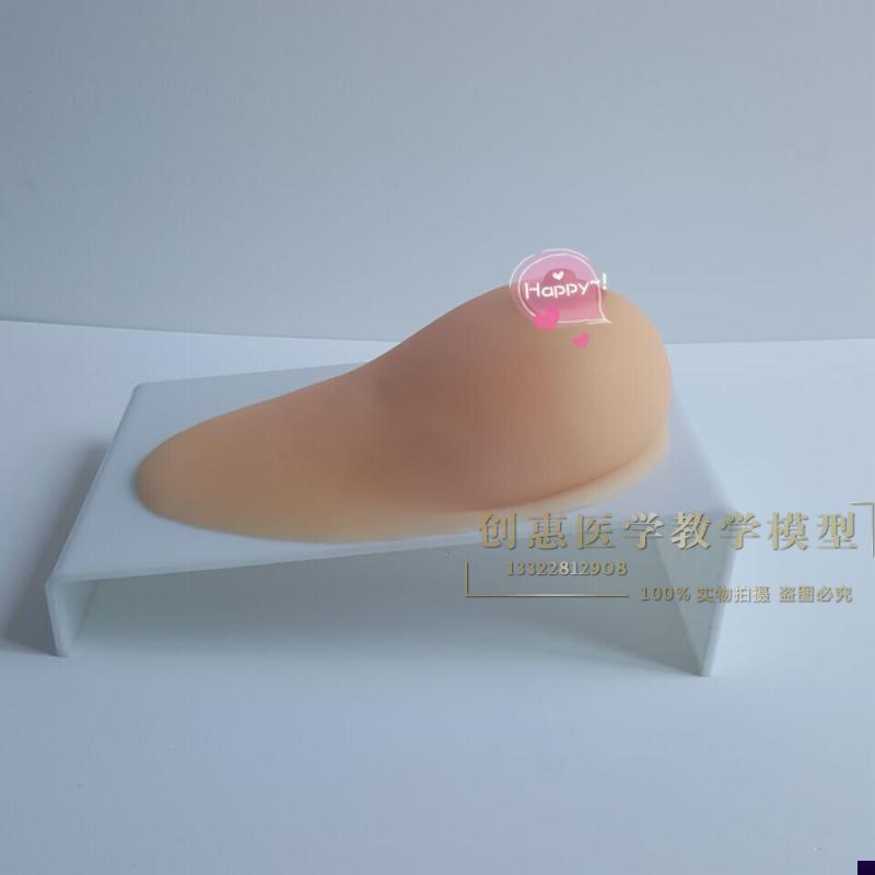 女性乳房模型 催乳师培训道具哺乳教学G模型 硅胶假乳房 医学教具