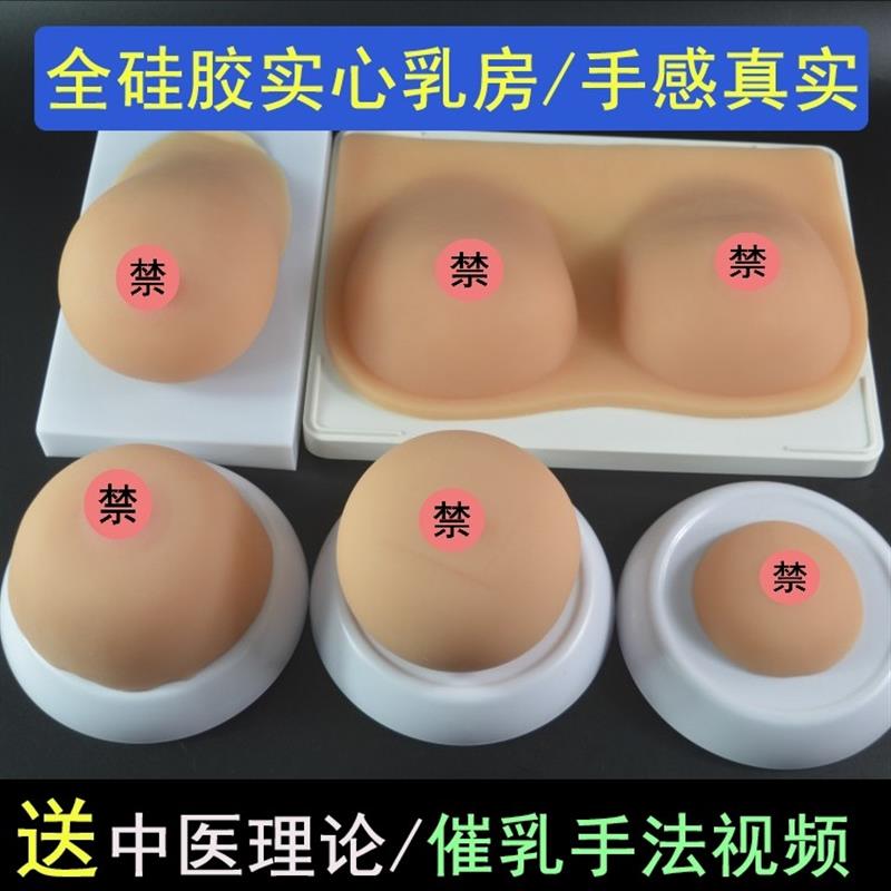 月嫂催乳师练习仿真全实心硅胶E乳房模型中医催乳按摩乳腺道