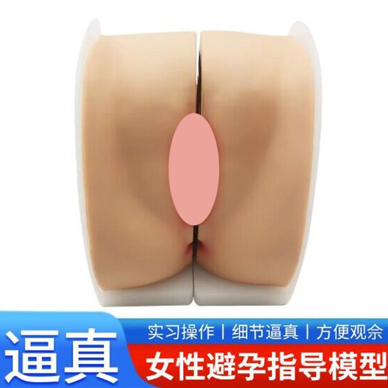 避孕指导模型女性上环训练模型女性节育计Q生模型计生教育教