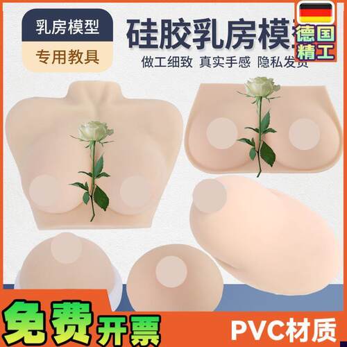 高级医学仿真女性乳房义乳假乳催乳师培训教N具哺乳教学纯硅胶模