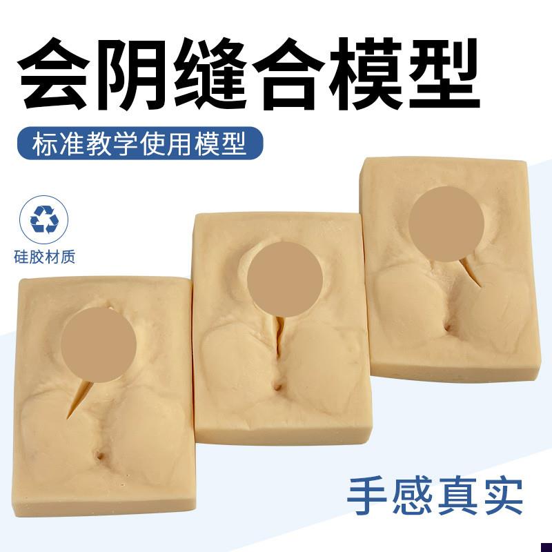 技阴缝合练习模型 会阴缝合练习模块 妇产科缝S能外合训练模型.