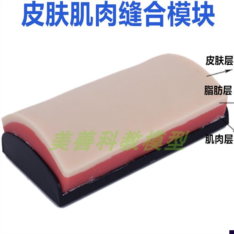 弧形皮肤外科切开缝o合技能模型教学仿真皮肤缝合手术训练模型