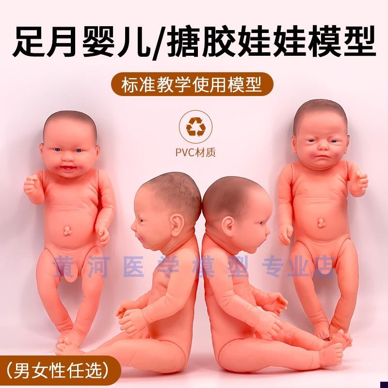 新生儿搪胶软胶塑料 仿真医学婴儿家政月嫂护理U培训假娃娃模型