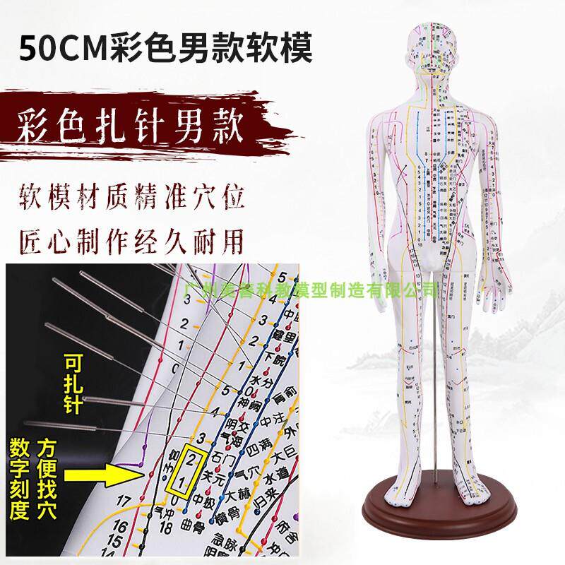 52CM彩色针灸穴n位人体模型全身经络图人模硅胶推拿小皮人扎