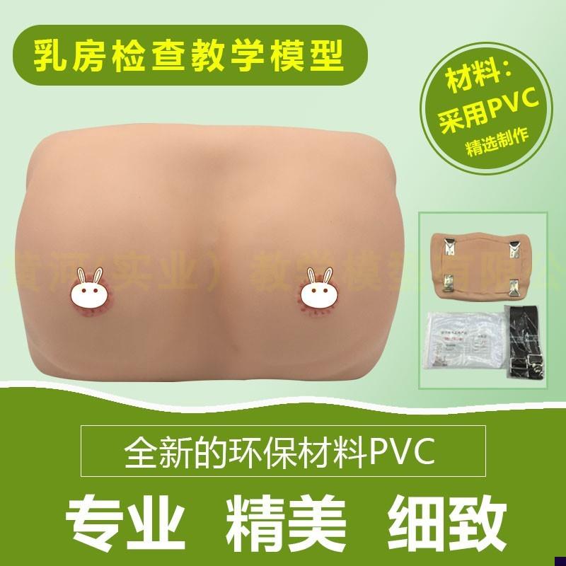 护理模型乳房检查模型人t体模型乳房自检模型女性乳房自检模型