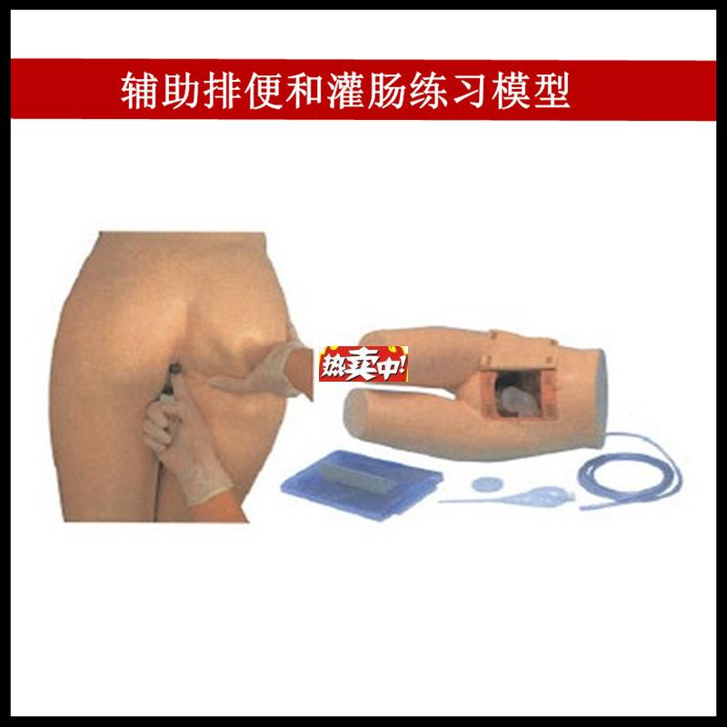 热销辅助排便和灌肠练习模型医院培训护n士训练模型肛门检查模
