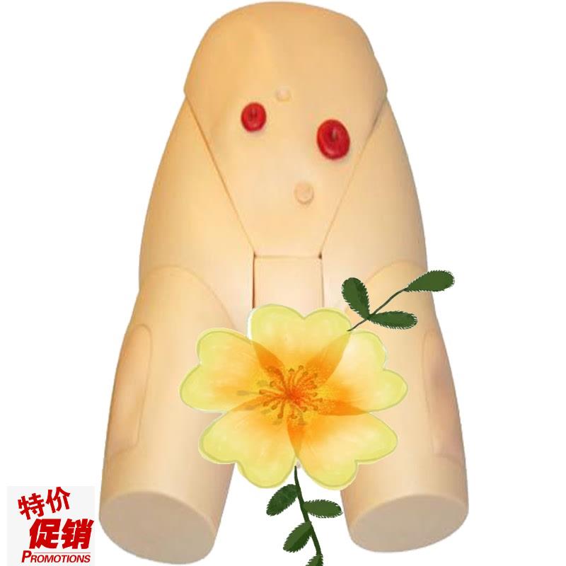 高级男性导g尿模型JY/H17E佳悦科教通