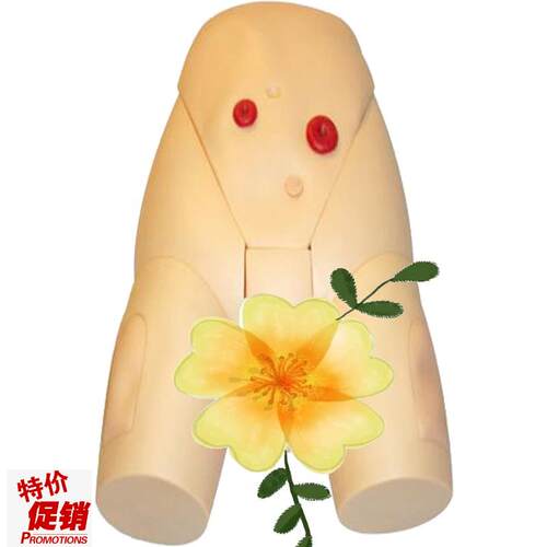 高级男性导g尿模型JY/H17E佳悦科教通