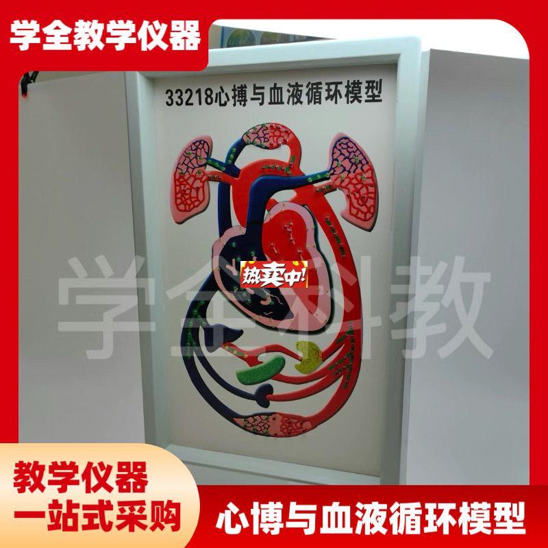 热销心博与血液循环模Z型初高中生物实验室心脏工作装置电动式心
