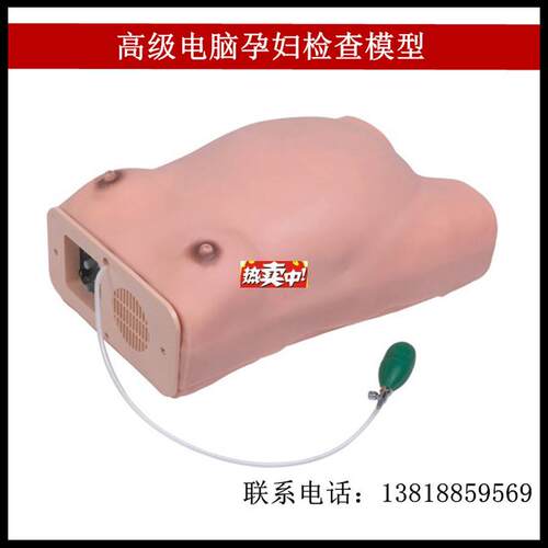 热销FW新款高级孕妇检查模型腹部p触诊产前检查妇科示教及训练模