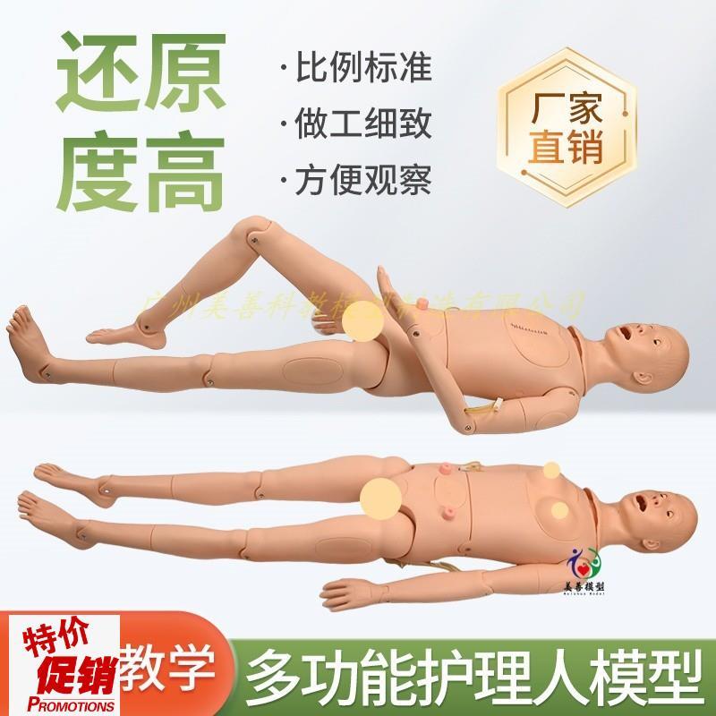 高级男女a性护理人体模型灌肠插尿管医学导尿技能操作护理模特