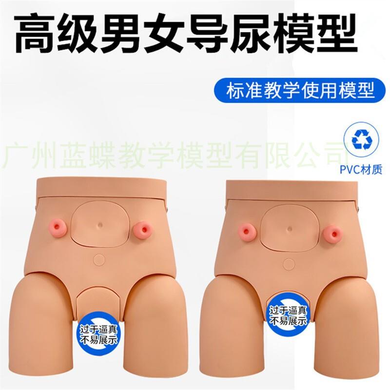 热销高级男性导尿模型男性导尿训Y练模型女性导尿模型有膀胱尿道