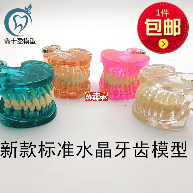 热销牙科口腔模型新款标准牙齿透明水晶模型S全口28颗牙齿模型包