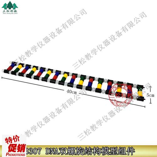 33307DNA双螺旋结构模型组件E生物实验演示DNA组成教学仪器