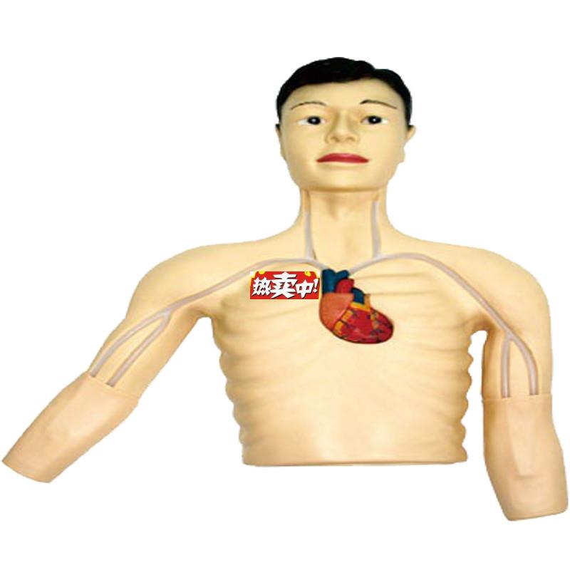 热销PICC介入模型F佳悦医学模型JY/L69