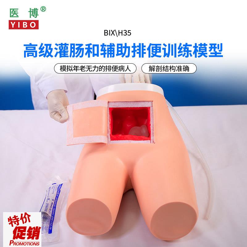 医博BIX-H35高级灌肠模型辅助排便和及灌肠训练习模型医学用灌V肠