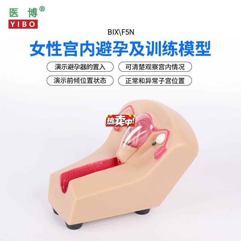 热销医博女性宫内避孕器训练模型子宫生e殖器官教学模具上环取环