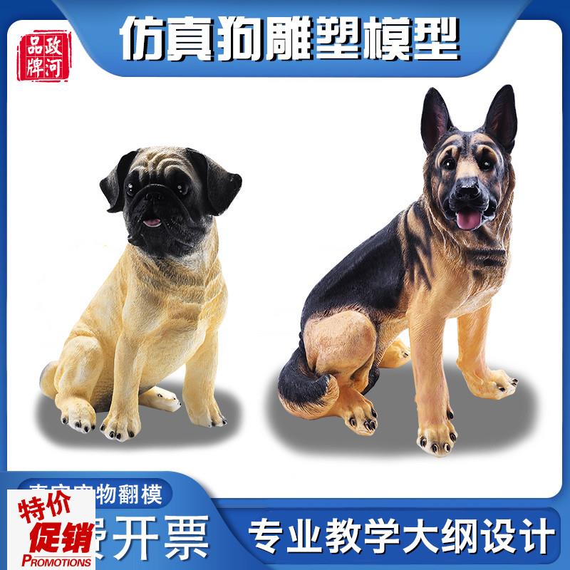 政河狗狗c模型宠物店摆件医院教学用儿童早教玩具仿真雕塑艺术绘