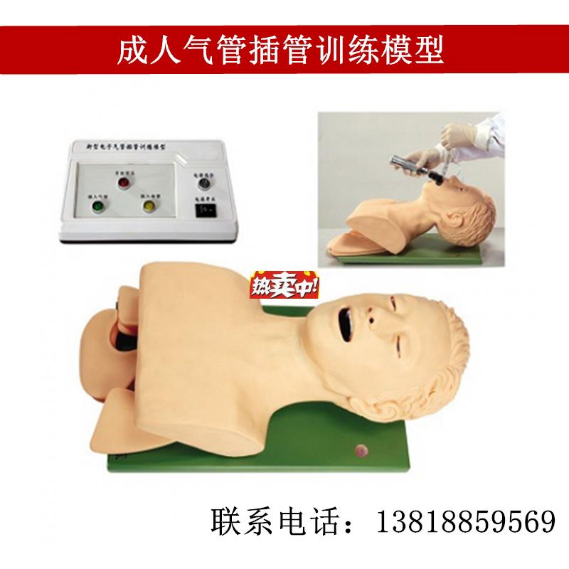 热销直销成人气管插管训练模型医学用插管技能教学模特B电子人体
