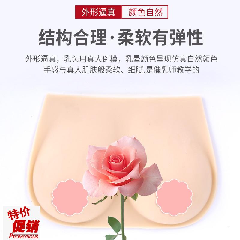 催乳师教具女性乳房p模型硅胶乳房模型催乳师培训医学用假乳房