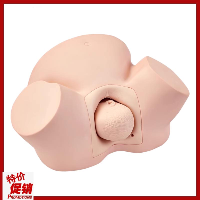 高级助产训练模n型产科教学模型妇幼保健院示教模具