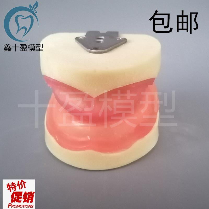 牙科牙齿种植模型全口种植练习模型软牙龈N口腔操作种植练习包邮
