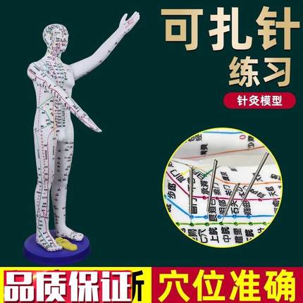 董氏奇穴人体模型仿真大号中医针灸可扎针M十二经络铜人全身穴位