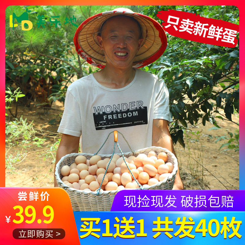 正宗农村土鸡蛋农家散养纯山区新鲜天然草鸡蛋柴鸡蛋笨鸡蛋共40枚|ruв категории водной мясо/свежие фрукты и овощи/еда, яйца/яичные продукты, свежие яйца, яйца - от Buy2taobao.com для оказания профессиональной услуги покупки агента Taobao