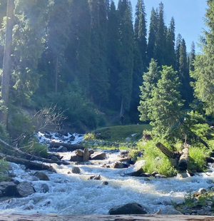 一分钱1毛钱1分钱自动发货优惠开通0.01元 壁纸