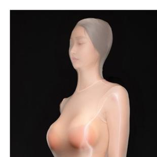 连身衣全身蝉翼油亮性感连身丝袜全包连身袜长袖黑丝男士JJ套闭口