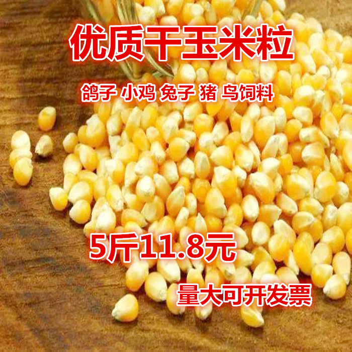 熟鸽子价格 熟鸽子图片 星期三 熟鸽子价格 熟鸽子图片 星期三