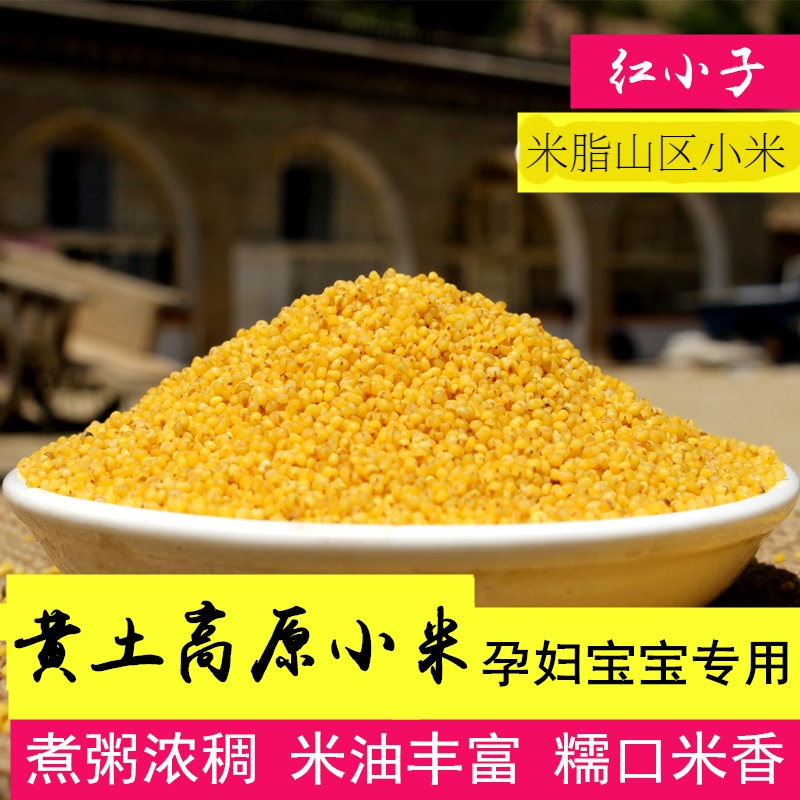 红小子新米延安黄小米煮油小米