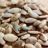 新货小南瓜子 包邮 焦点香 3件 陕北南瓜子盐焗南瓜子500克 红小子