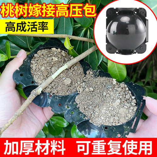 桃树嫁接高压包空中插杆嫁接育苗盒果树植物生根高枝自动扣嫁接盒