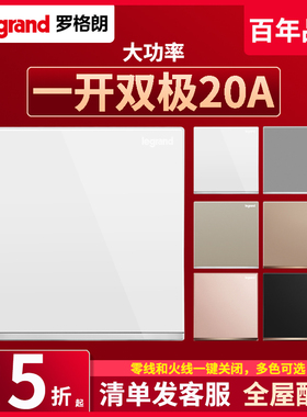 罗格朗开关一开位双极开关20A大功率电器零火双断曲架热水器空调