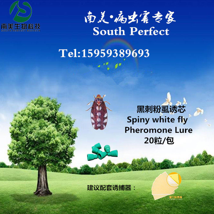 黑刺粉虱 诱芯 性诱剂 昆虫引诱剂 性诱芯 信息素